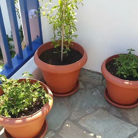 Aliki Villa